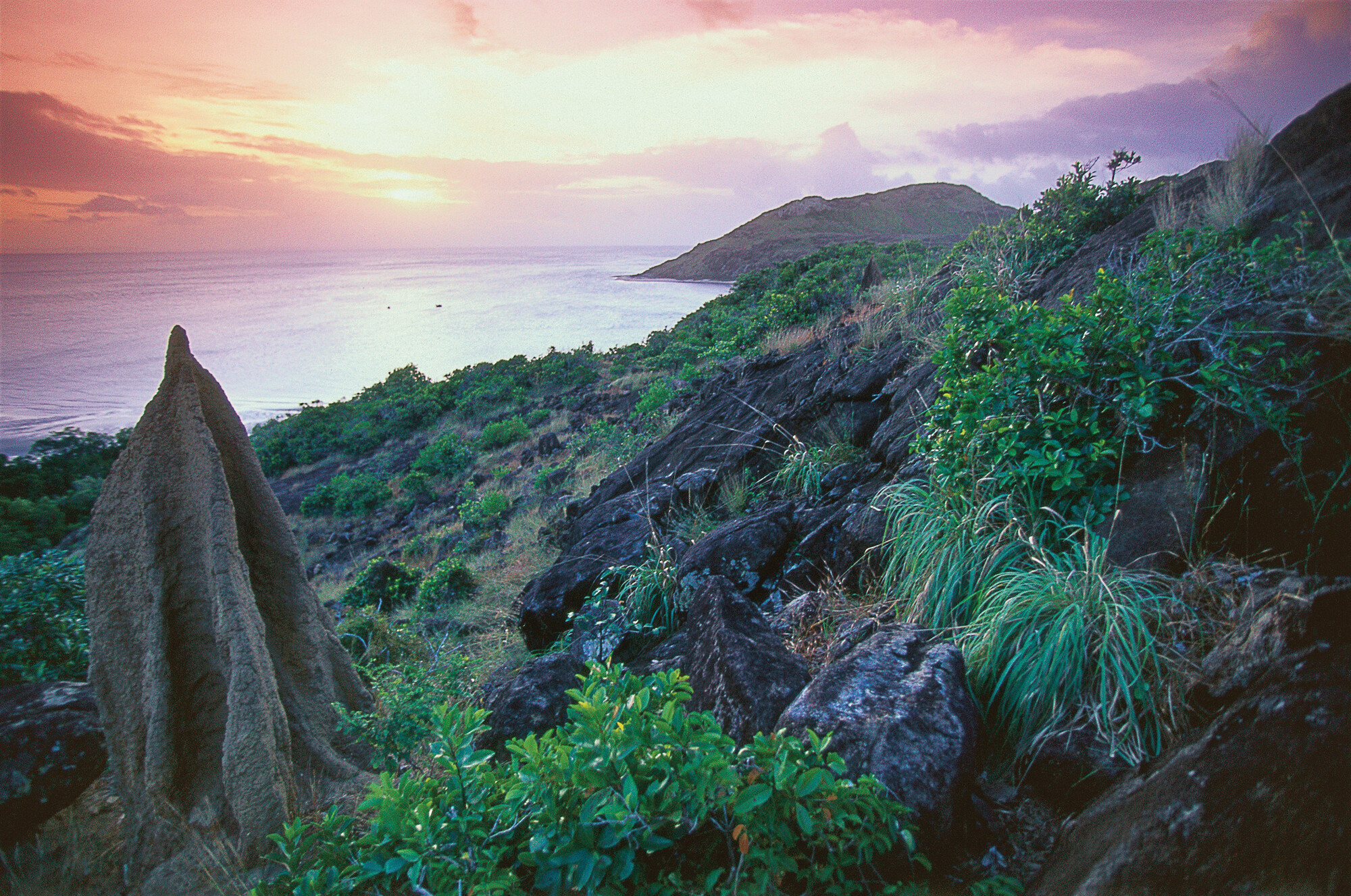 Queensland Tourism and Conservation Alliance backs plan to double State’s protected areas